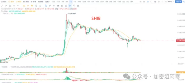 阿童木币未来涨幅预测，潜力分析与上涨空间解析